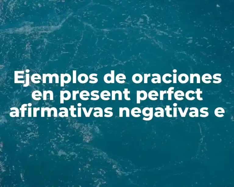 Ejemplos de oraciones en present perfect afirmativas negativas e