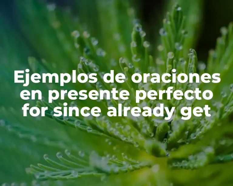 Ejemplos de oraciones en presente perfecto for since already get