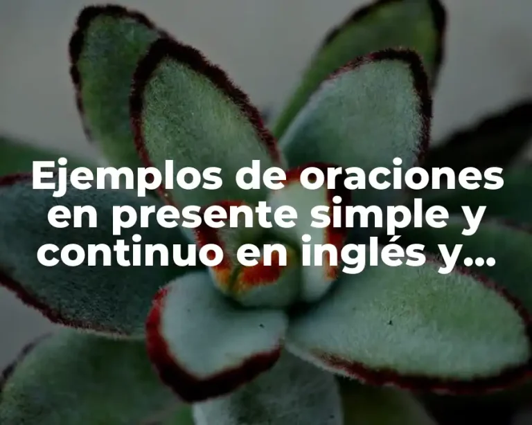 Ejemplos de oraciones en presente simple y continuo en inglés y Significado