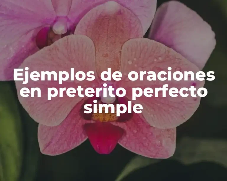 Ejemplos de oraciones en preterito perfecto simple