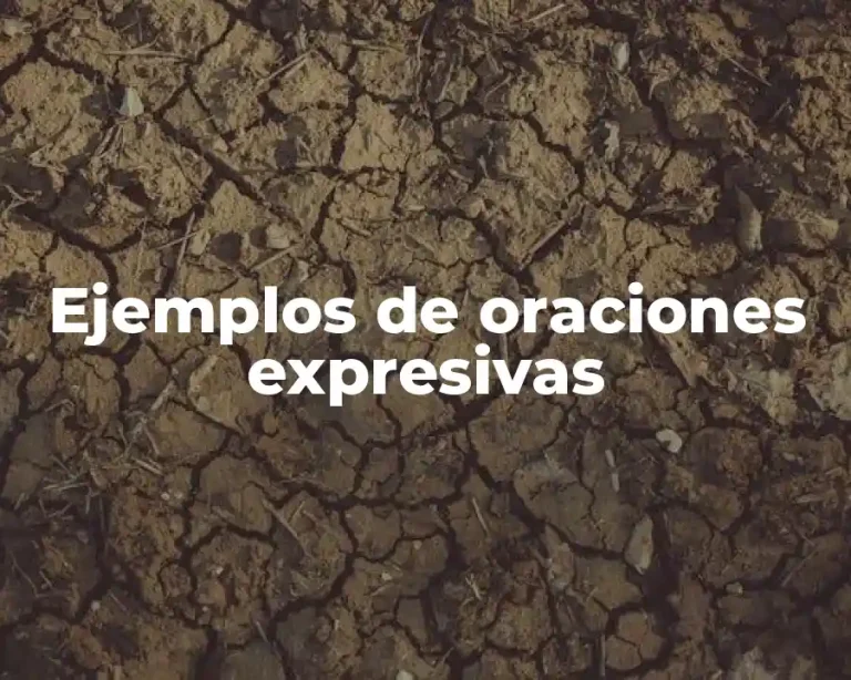 Ejemplos de oraciones expresivas