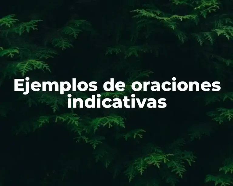 Ejemplos de oraciones indicativas
