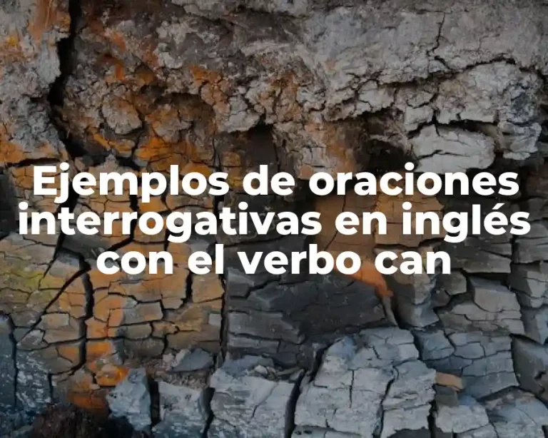 Ejemplos de oraciones interrogativas en inglés con el verbo can