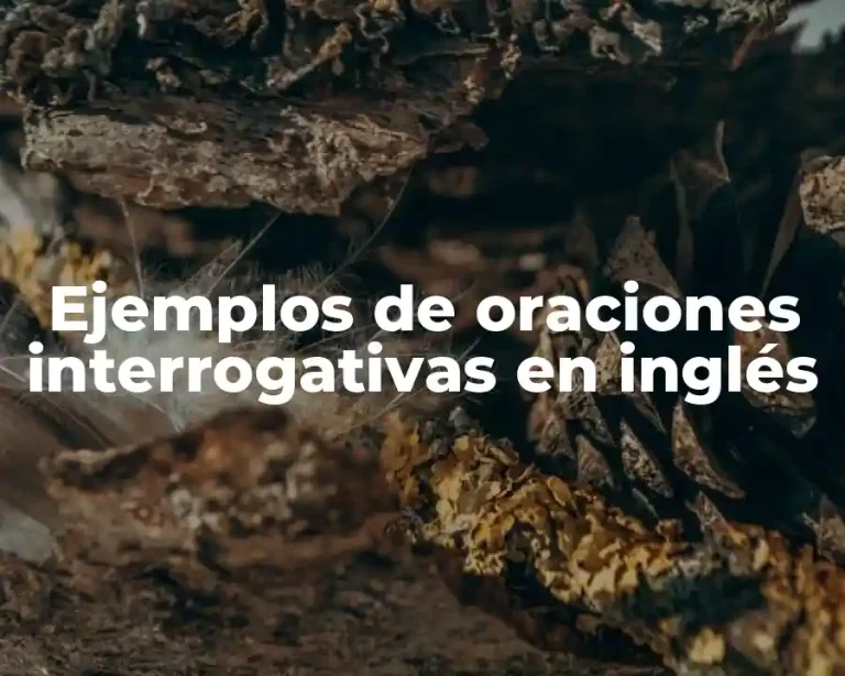 Ejemplos de oraciones interrogativas en inglés