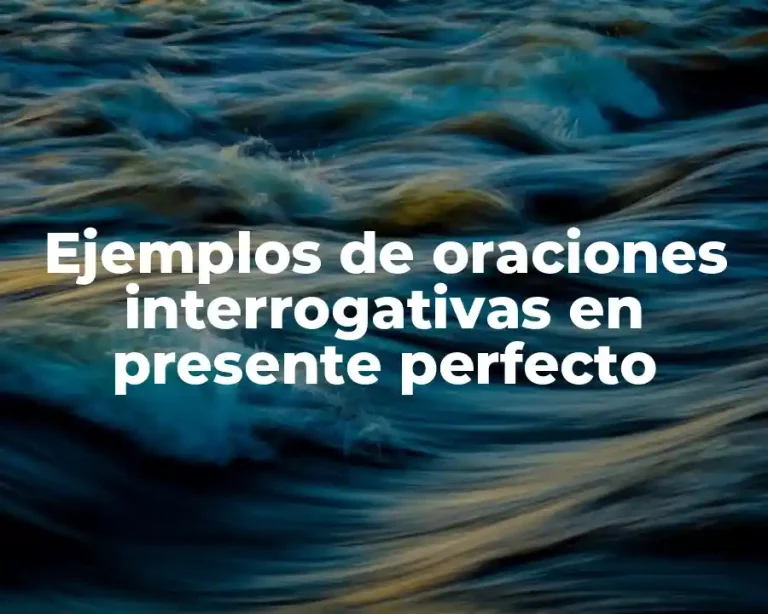 Ejemplos de oraciones interrogativas en presente perfecto
