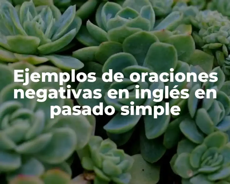 Ejemplos de oraciones negativas en inglés en pasado simple