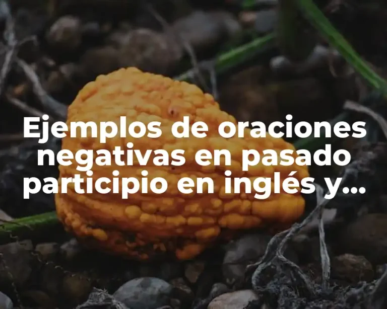 Ejemplos de oraciones negativas en pasado participio en inglés y Significado