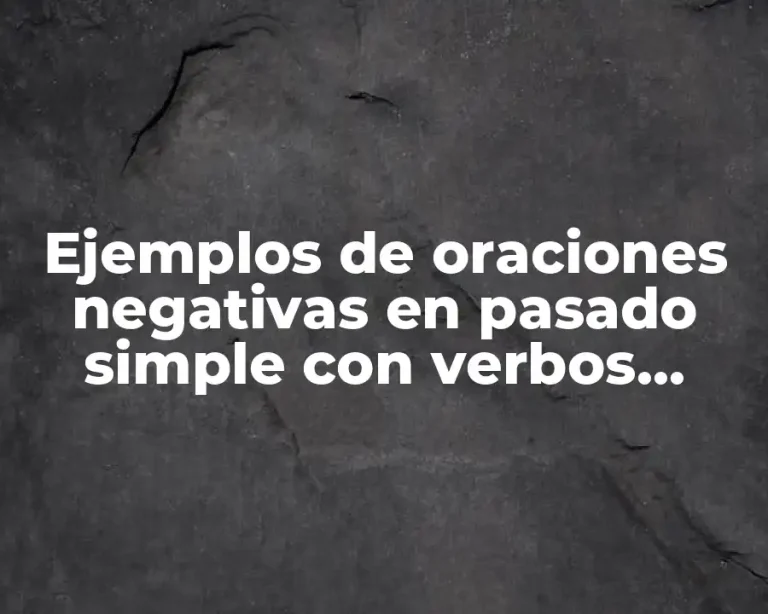Ejemplos de oraciones negativas en pasado simple con verbos irregulares
