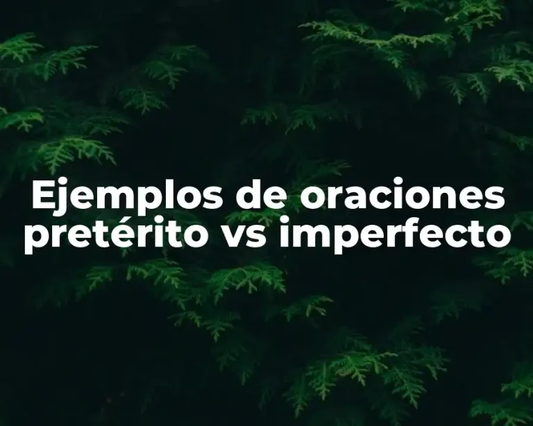 Ejemplos de oraciones pretérito vs imperfecto