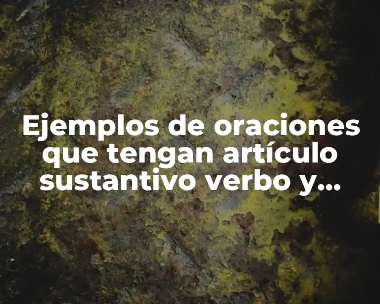 Ejemplos de oraciones que tengan artículo sustantivo verbo y adjetivo y Significado