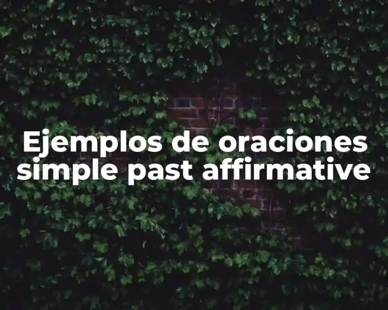 Ejemplos de oraciones simple past affirmative