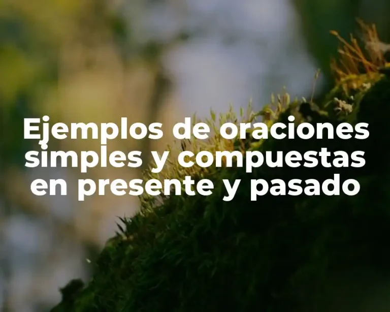 Ejemplos de oraciones simples y compuestas en presente y pasado