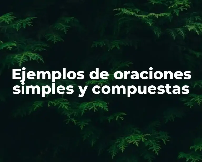 Ejemplos de oraciones simples y compuestas