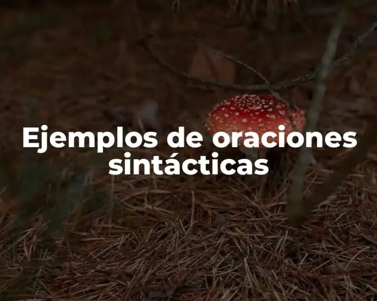 Ejemplos de oraciones sintácticas