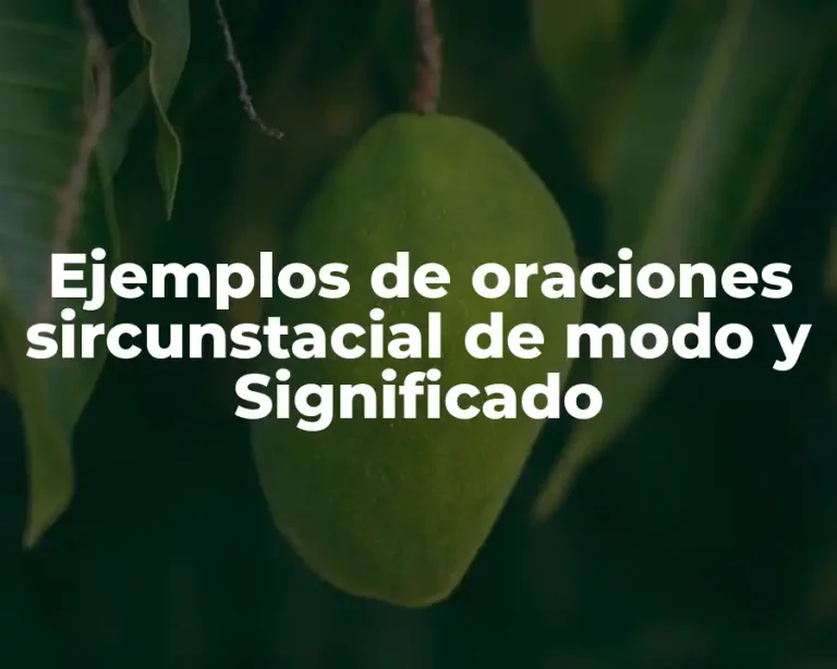 Ejemplos de oraciones sircunstacial de modo y Significado