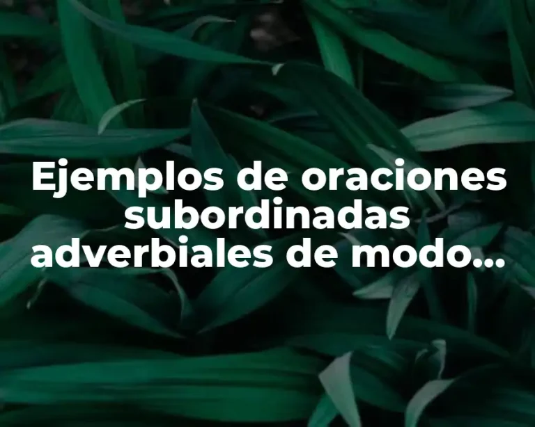 Ejemplos de oraciones subordinadas adverbiales de modo, tiempo y lugar