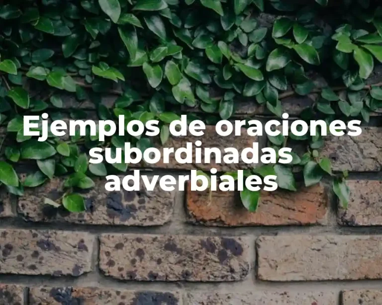 Ejemplos de oraciones subordinadas adverbiales