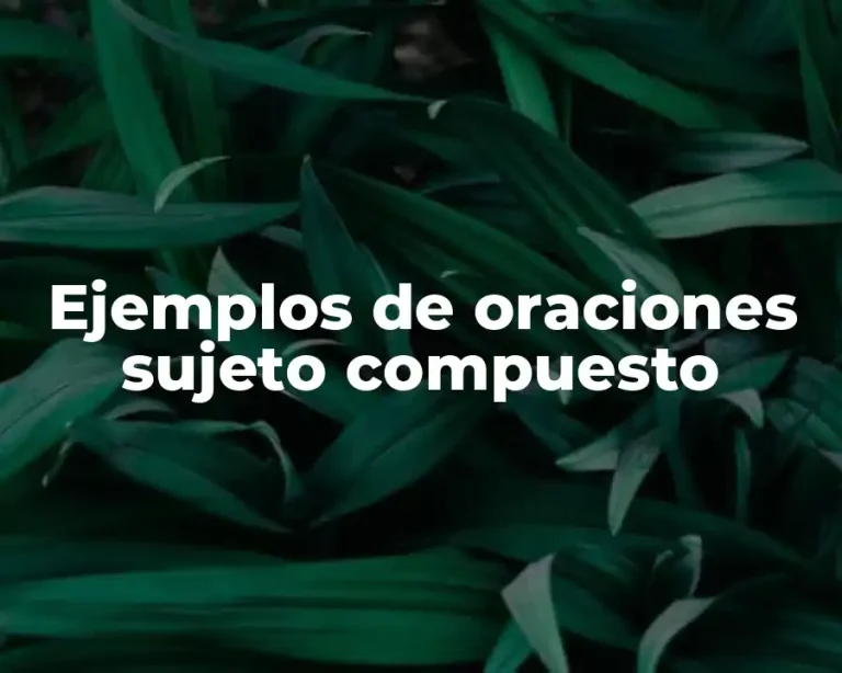 Ejemplos de oraciones sujeto compuesto