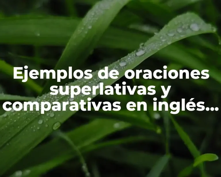Ejemplos de oraciones superlativas y comparativas en inglés usando Quick y Significado