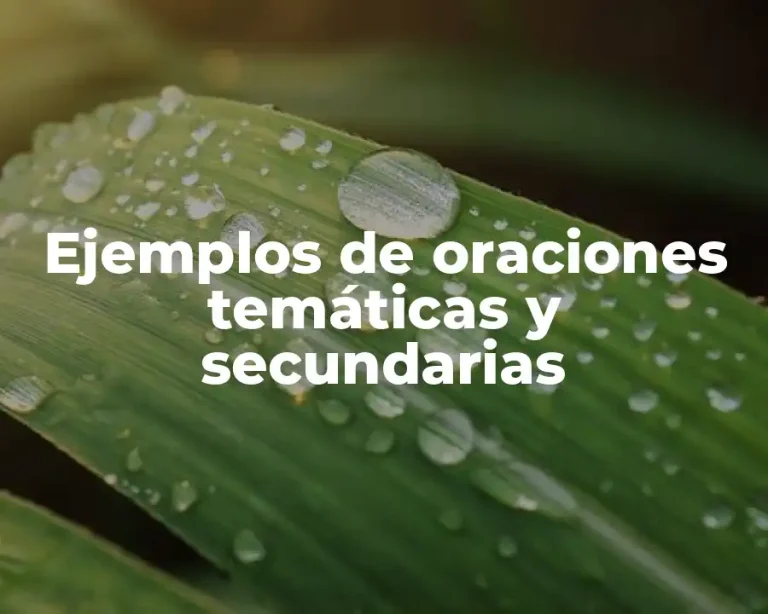 Ejemplos de oraciones temáticas y secundarias