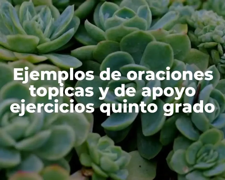 Ejemplos de oraciones topicas y de apoyo ejercicios quinto grado
