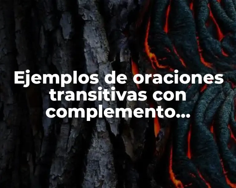 Ejemplos de oraciones transitivas con complemento circunstancial