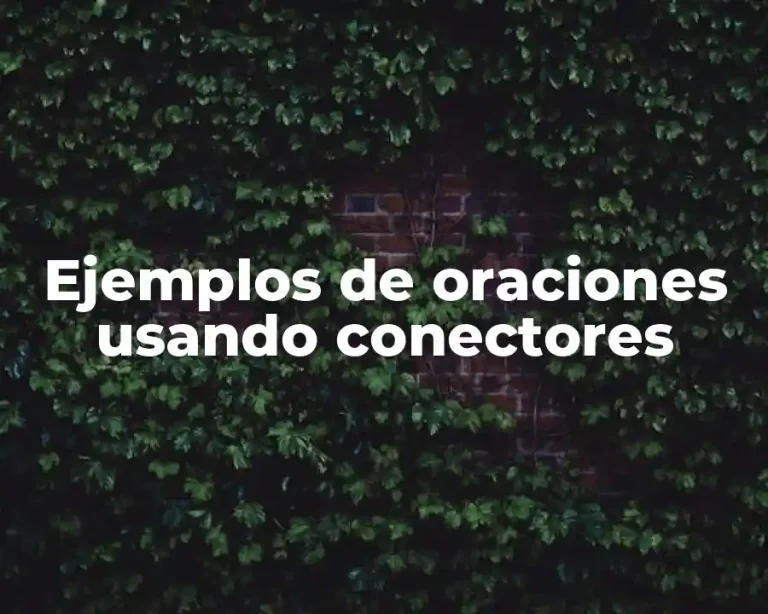Ejemplos de oraciones usando conectores