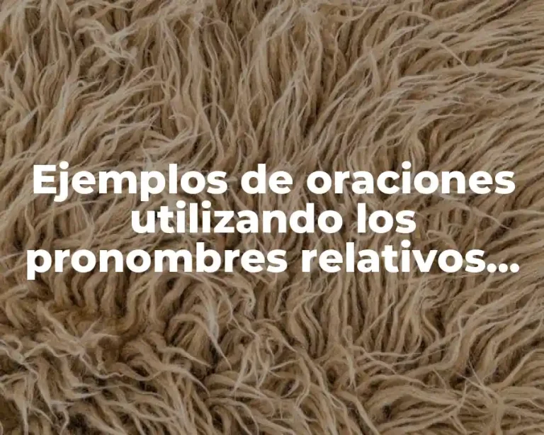 Ejemplos de oraciones utilizando los pronombres relativos who, which, that y Significado