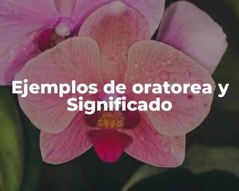 Ejemplos de oratorea y Significado