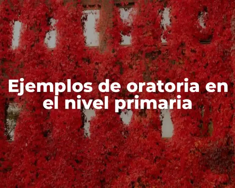 Ejemplos de oratoria en el nivel primaria