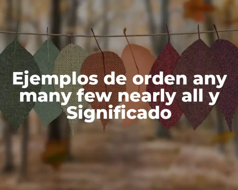 Ejemplos de orden any many few nearly all y Significado