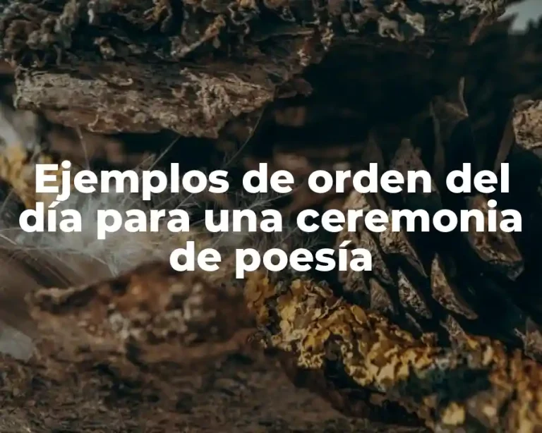 Ejemplos de orden del día para una ceremonia de poesía