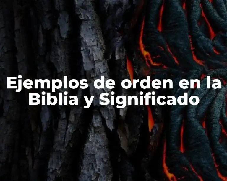 Ejemplos de orden en la Biblia y Significado