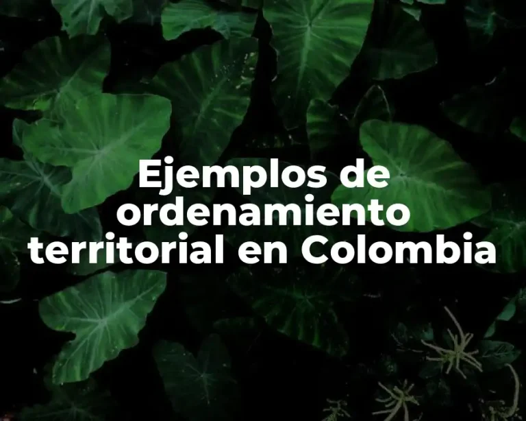Ejemplos de ordenamiento territorial en Colombia