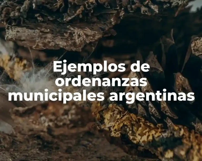 Ejemplos de ordenanzas municipales argentinas