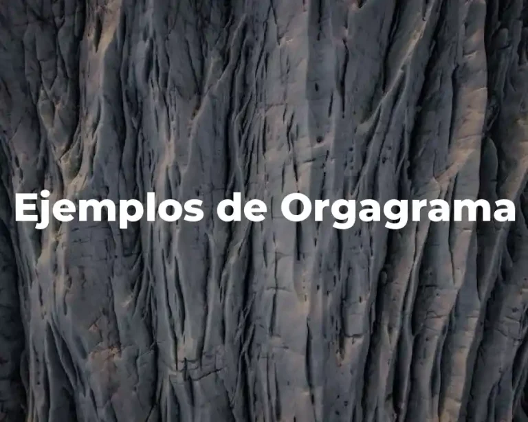 Ejemplos de Orgagrama