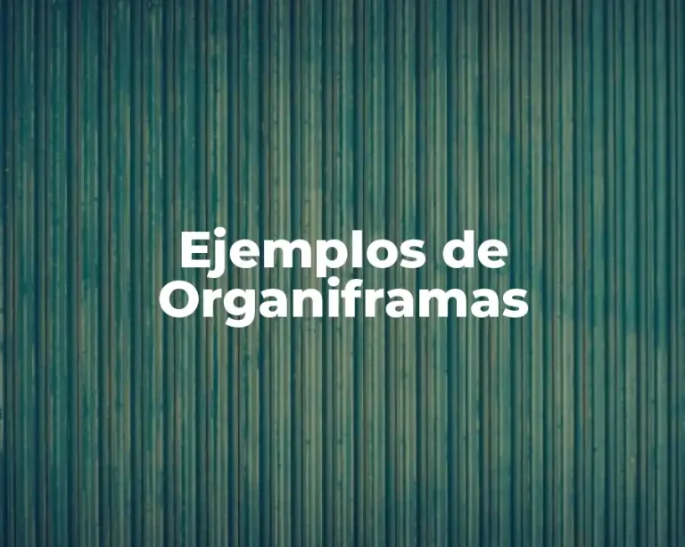 Ejemplos de Organiframas