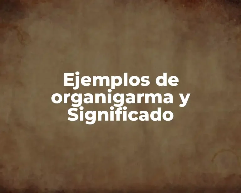 Ejemplos de organigarma y Significado