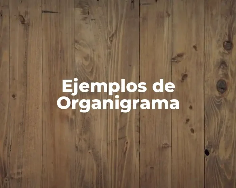 Ejemplos de Organigrama