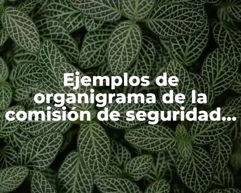 Ejemplos de organigrama de la comisión de seguridad e higiene