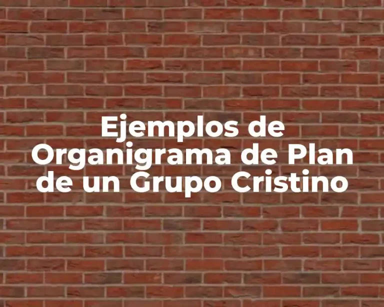 Ejemplos de Organigrama de Plan de un Grupo Cristino