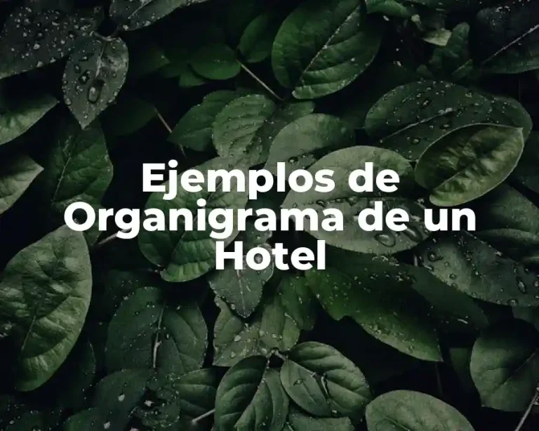 Ejemplos de Organigrama de un Hotel