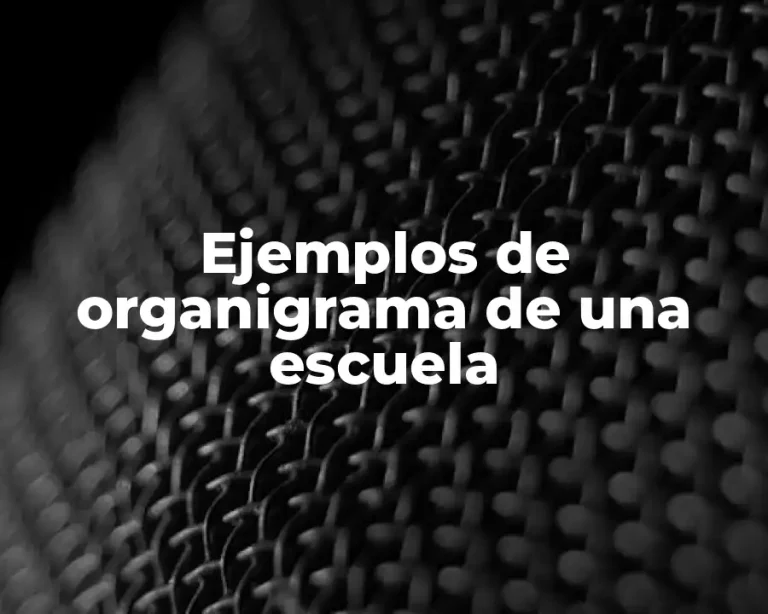 Ejemplos de organigrama de una escuela