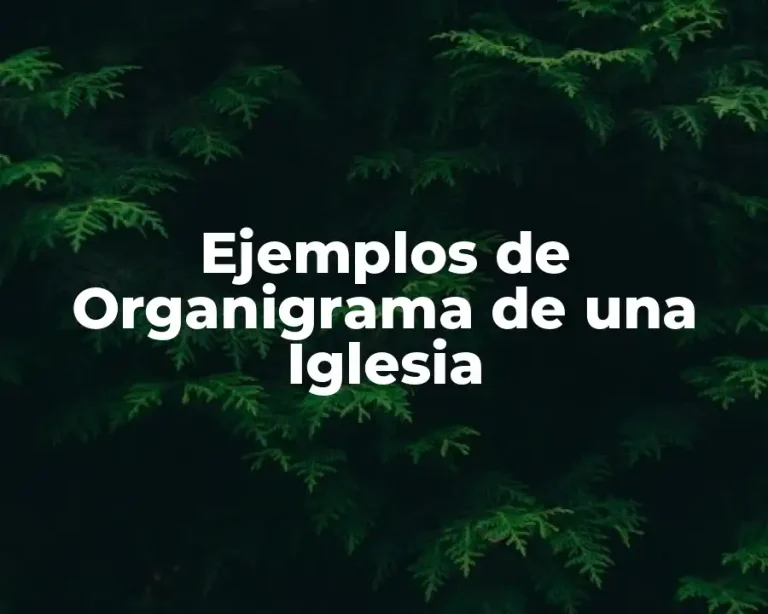 Ejemplos de Organigrama de una Iglesia