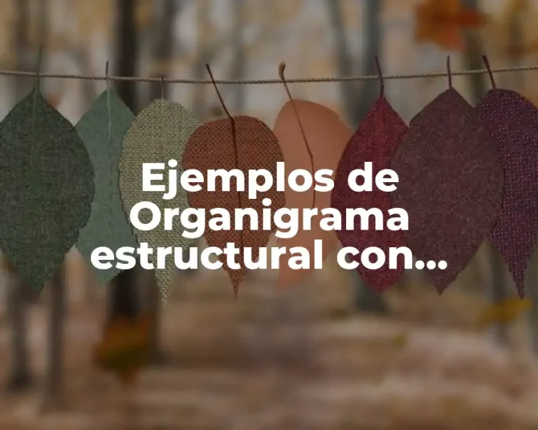 Ejemplos de Organigrama estructural con ubicación del área de personal