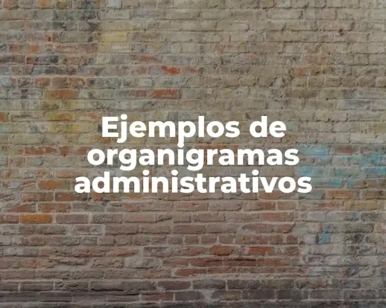 Ejemplos de organigramas administrativos