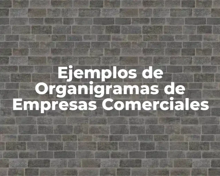 Ejemplos de Organigramas de Empresas Comerciales