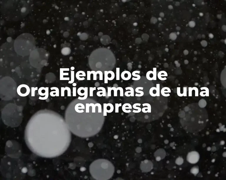 Ejemplos de Organigramas de una empresa