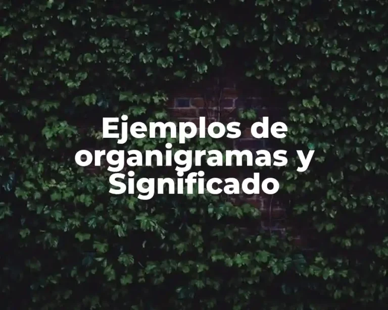 Ejemplos de organigramas y Significado