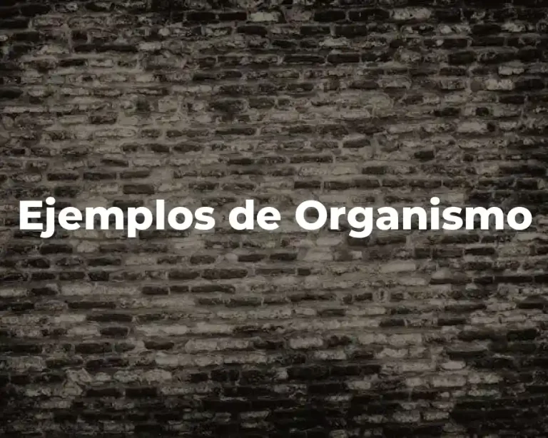 Ejemplos de Organismo